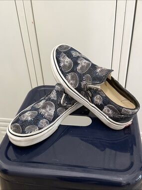 Vans Skull Slip On Shoes